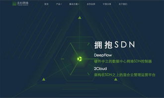 云杉網絡完成1100萬美元B輪融資，引領國內SDN技術服務新浪潮